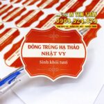 Mẫu Tem Nhãn đông trùng hạ thảo Nhật Vy