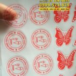 in decal trong 0538 1